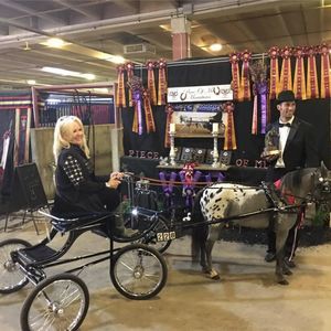 Meet your Posher, Vicki